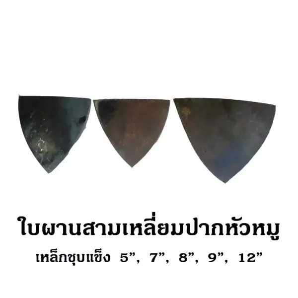 ใบผานสางเหลี่มปากหัวหมู