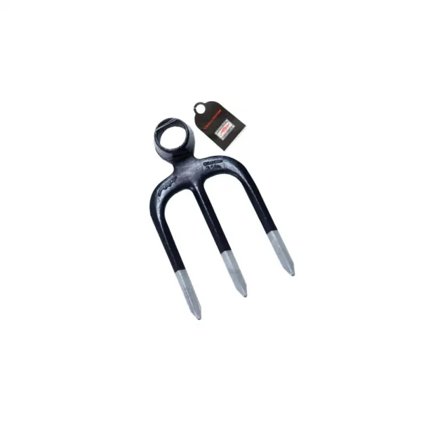 Forks
