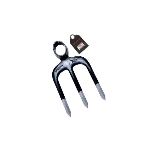 Forks