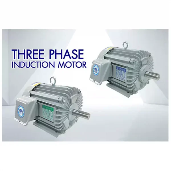 THREE PHASE INDUCTION MOTOR