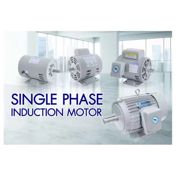 SINGLE PHASE INDUCTION MOTOR